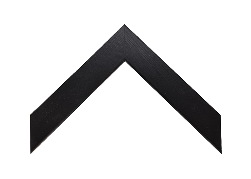 Listwa SR2